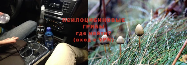 меф Вяземский